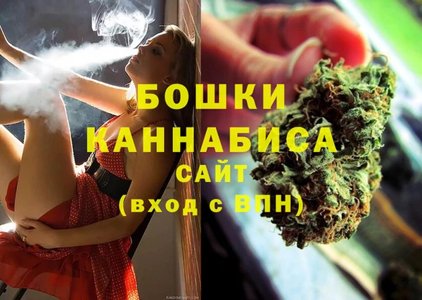 шишки Наволоки