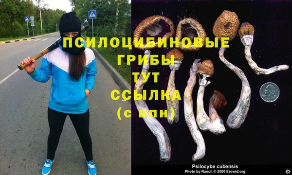 COCAINE Абинск