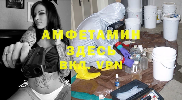 дмт Абаза