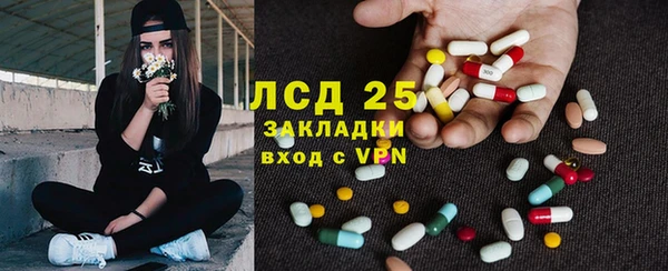 шишки Наволоки