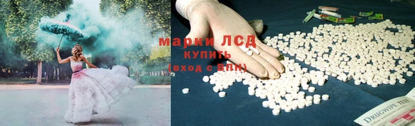 прущие крисы Надым