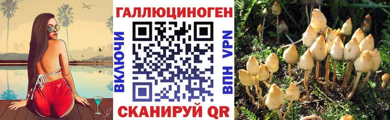 Псилоцибиновые грибы GOLDEN TEACHER  Щёлкино 